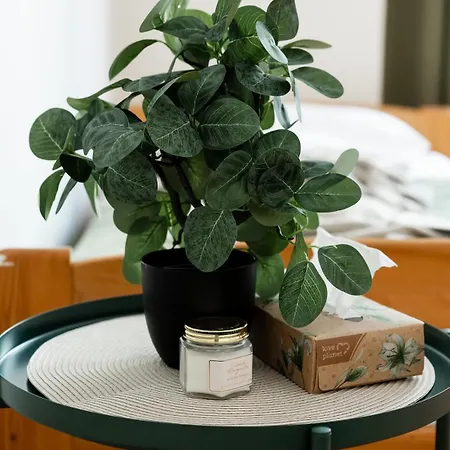 Διαμέρισμα Spacious And Relaxed 2br Ap For Friends And Families